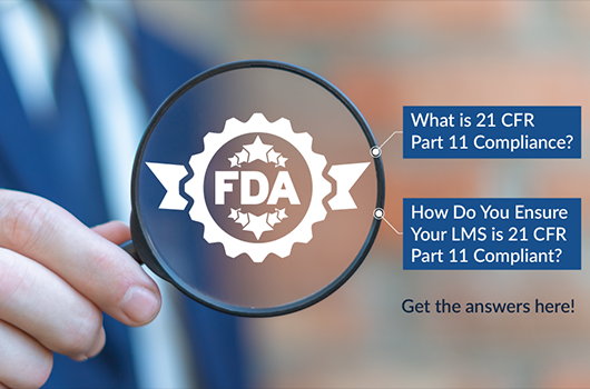 Pharmaceutical Auditing Pharmaceutical Auditing